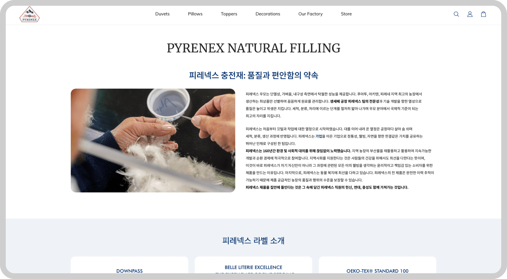 Pyrenex Website Version 01